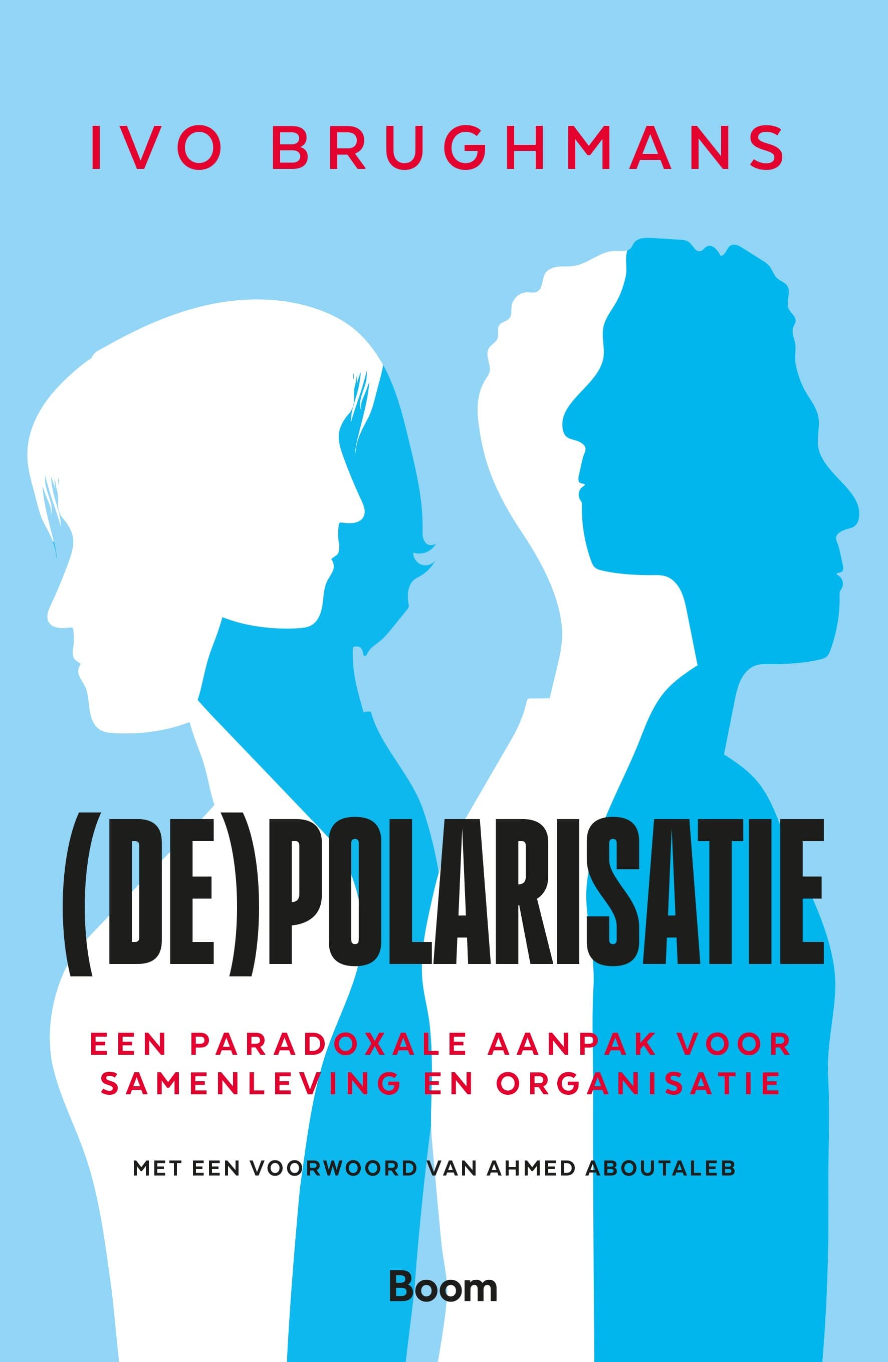 Boekcover (De)polarisatie – Ivo Brughmans